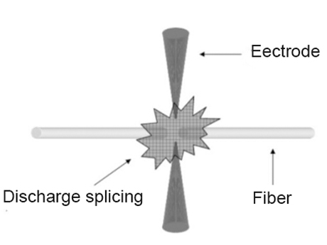 Tumtec  Array image161