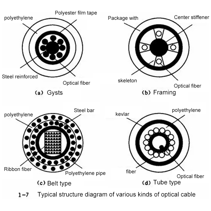 Tumtec  Array image302